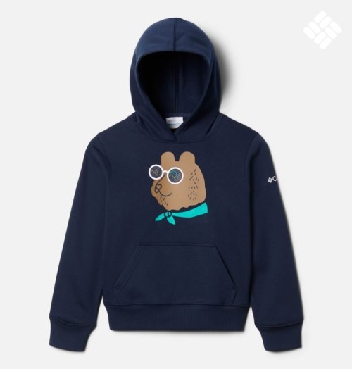 Kids' Columbia Basin Park Graphic Hoodie Navy | CA-H58A0