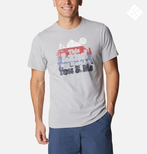 Men's Columbia Alpine Way Graphic T Shirts Light Grey | CA-N1483