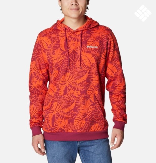 Men's Columbia Logo Printed Hoodie Red | CA-RAL5C