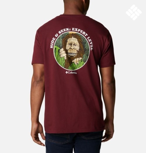 Men's Columbia Ratoon Graphic T Shirts Burgundy | CA-D6AL8