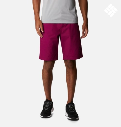 Men's Columbia Washed Out Shorts Fuchsia | CA-KAC43