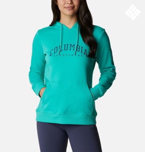 Women's Columbia Logo Hoodie Turquoise | CA-XL5C3