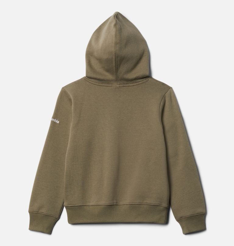 Kids' Columbia Basin Park Graphic Hoodie Olive | CA-UL03C