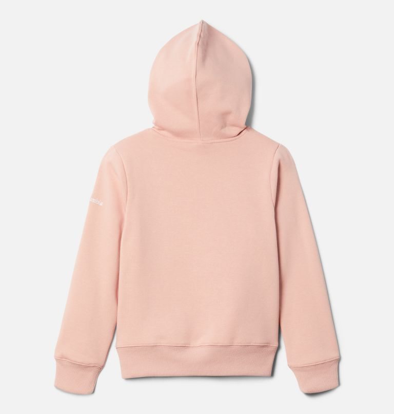 Kids' Columbia Basin Park Graphic Hoodie Pink | CA-Z5A13