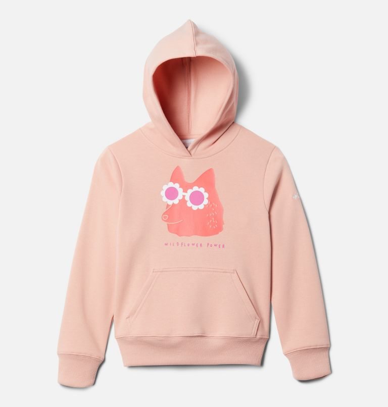 Kids\' Columbia Basin Park Graphic Hoodie Pink | CA-Z5A13