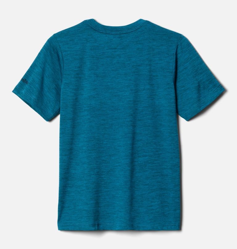 Kids' Columbia Mount Echo Short Sleeve Graphic T Shirts Turquoise | CA-V3C40