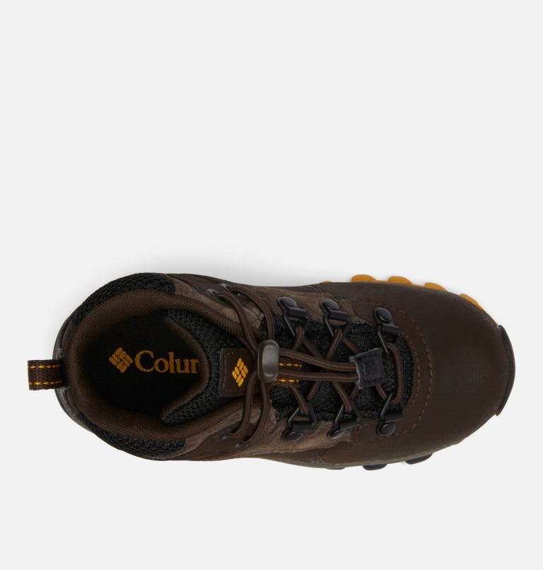 Kids' Columbia Newton Ridge Waterproof Hiking Boots Dark Brown | CA-J583A