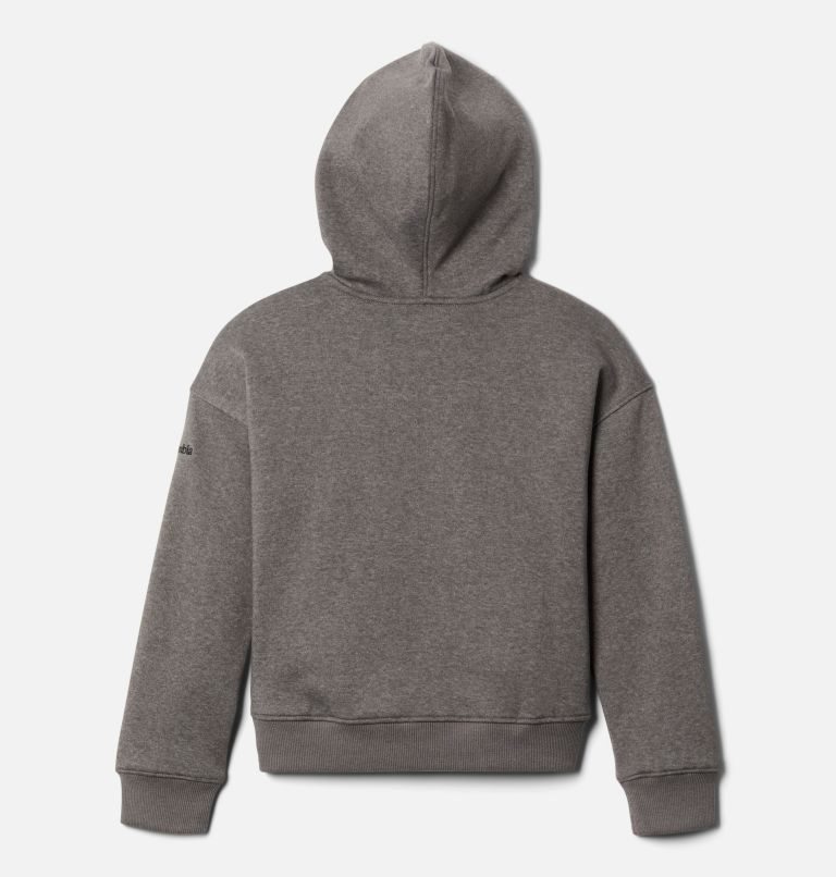 Kids' Columbia Trek Novelty Hoodie Dark Grey | CA-D8L01