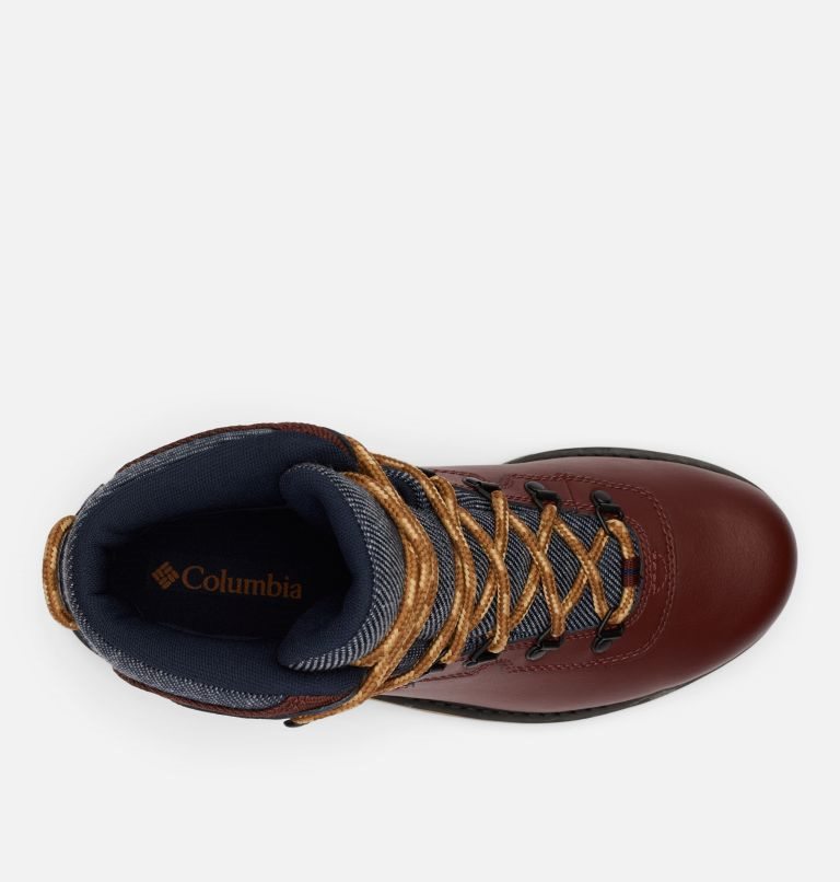 Men's Columbia Big Ridge Boots Dark Brown | CA-FCL61