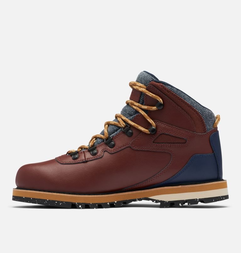 Men's Columbia Big Ridge Boots Dark Brown | CA-FCL61
