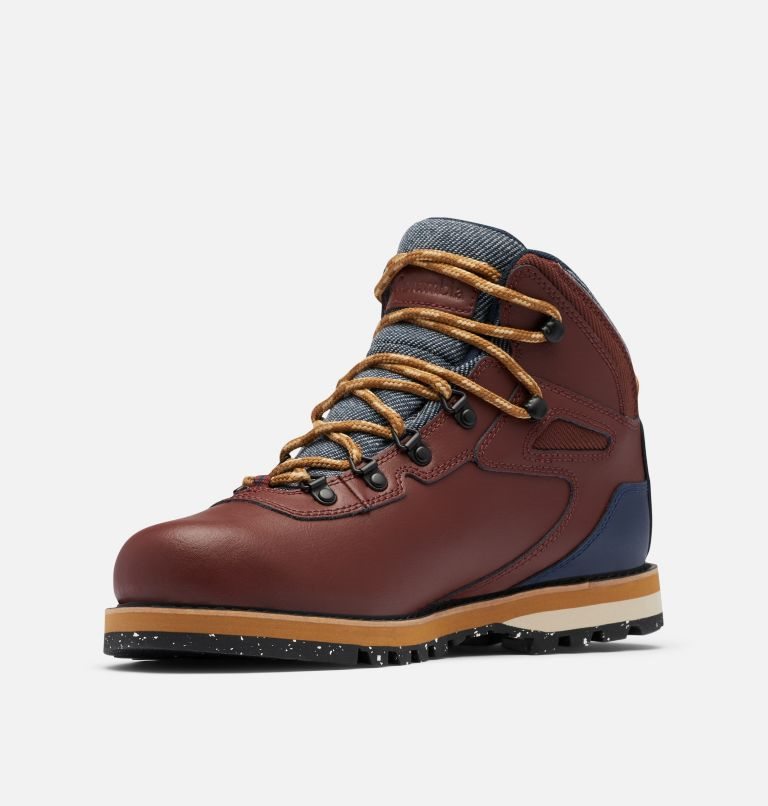 Men's Columbia Big Ridge Boots Dark Brown | CA-FCL61