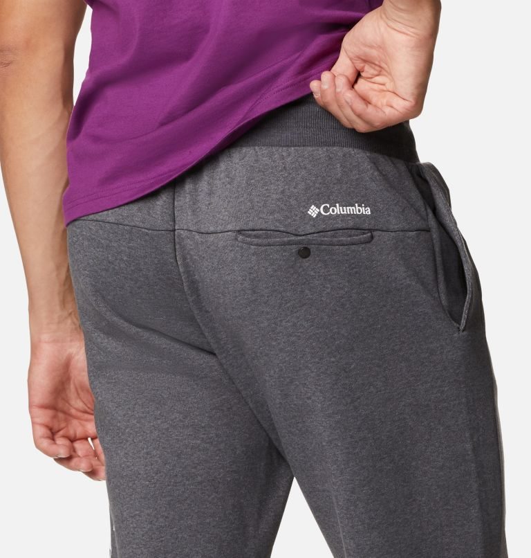 Men's Columbia Lodge Colorblock Jogger Grey | CA-PL451