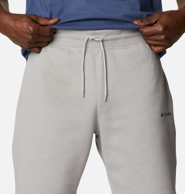 Men's Columbia Logo Fleece Shorts Light Grey | CA-MC013