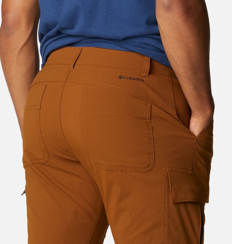 Men's Columbia Newton Ridge Convertible Pants Brown | CA-KA5L0