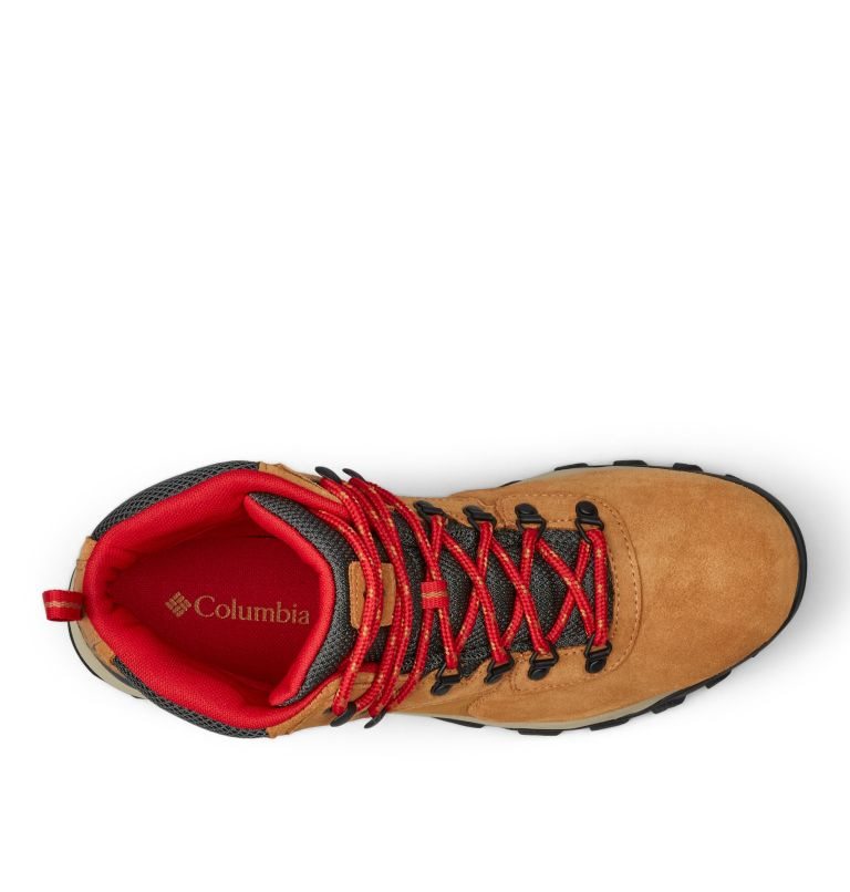 Men's Columbia Newton Ridge Plus II Suede Waterproof Hiking Boots Brown | CA-N3461