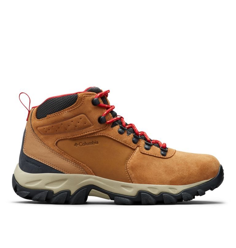 Men\'s Columbia Newton Ridge Plus II Suede Waterproof Hiking Boots Brown | CA-N3461
