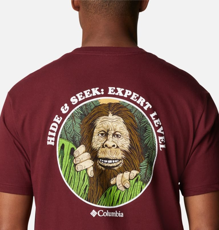 Men's Columbia Ratoon Graphic T Shirts Burgundy | CA-D6AL8