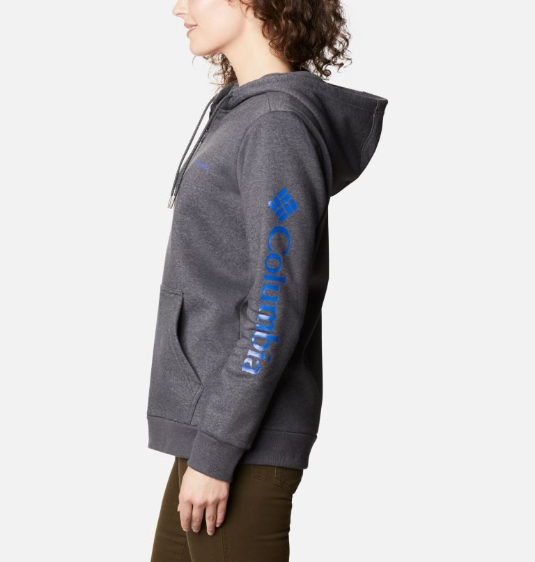 Women's Columbia Logo Full Zip Hoodie Dark Grey | CA-C653C