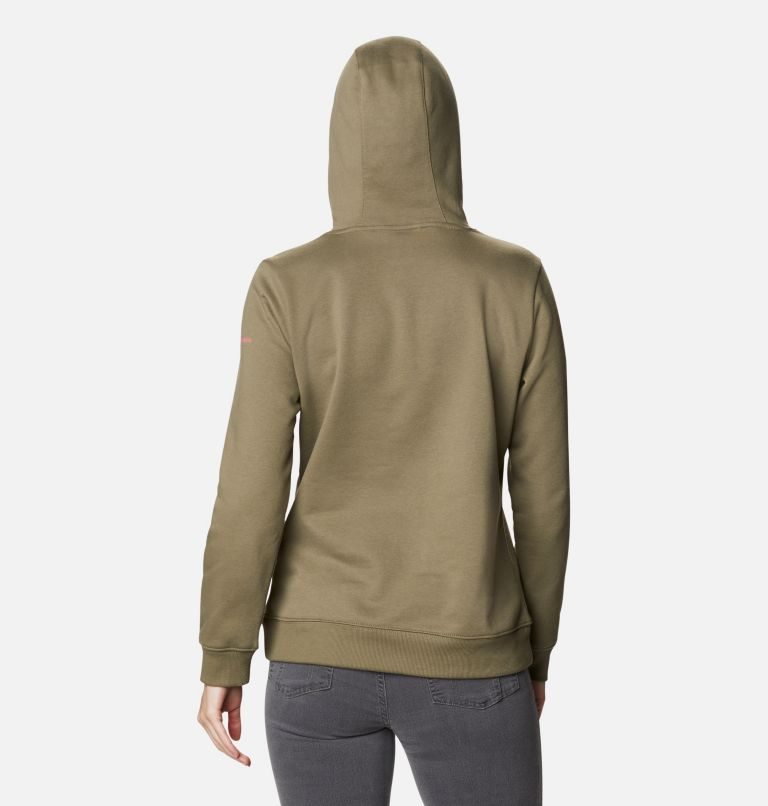 Women's Columbia Logo Hoodie Olive | CA-UAL35