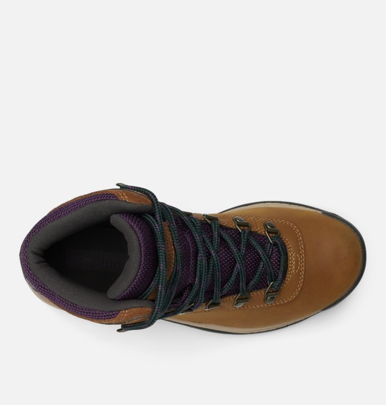 Women's Columbia Newton Ridge Plus Waterproof Hiking Boots Brown | CA-K308L