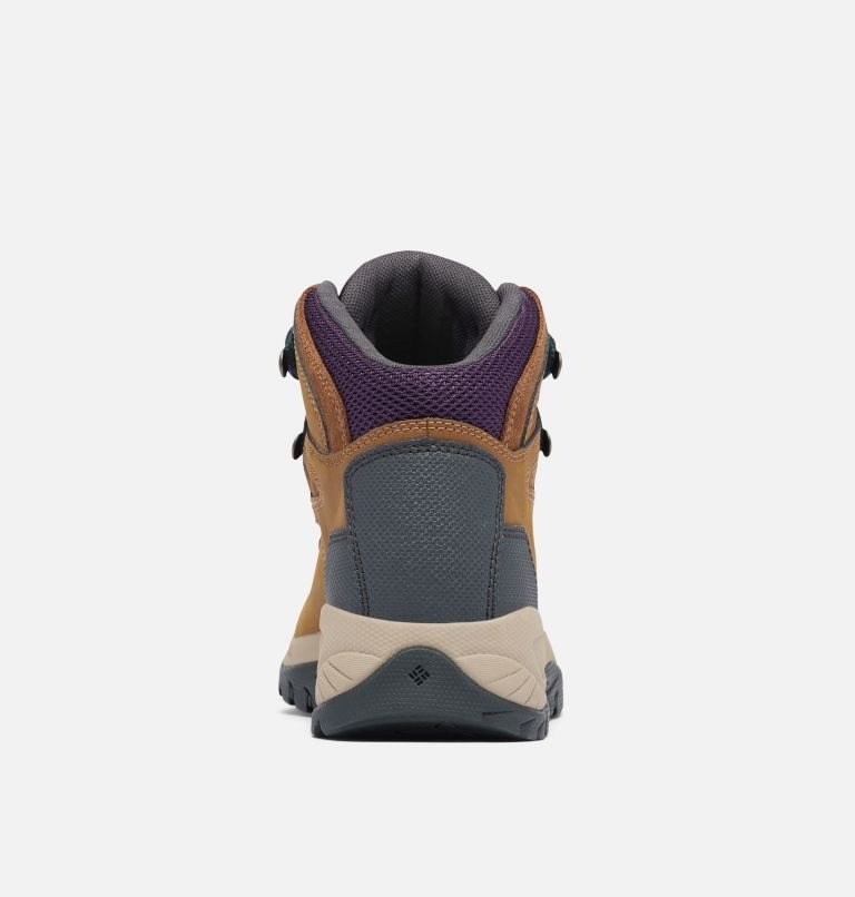 Women's Columbia Newton Ridge Plus Waterproof Hiking Boots Brown | CA-K308L