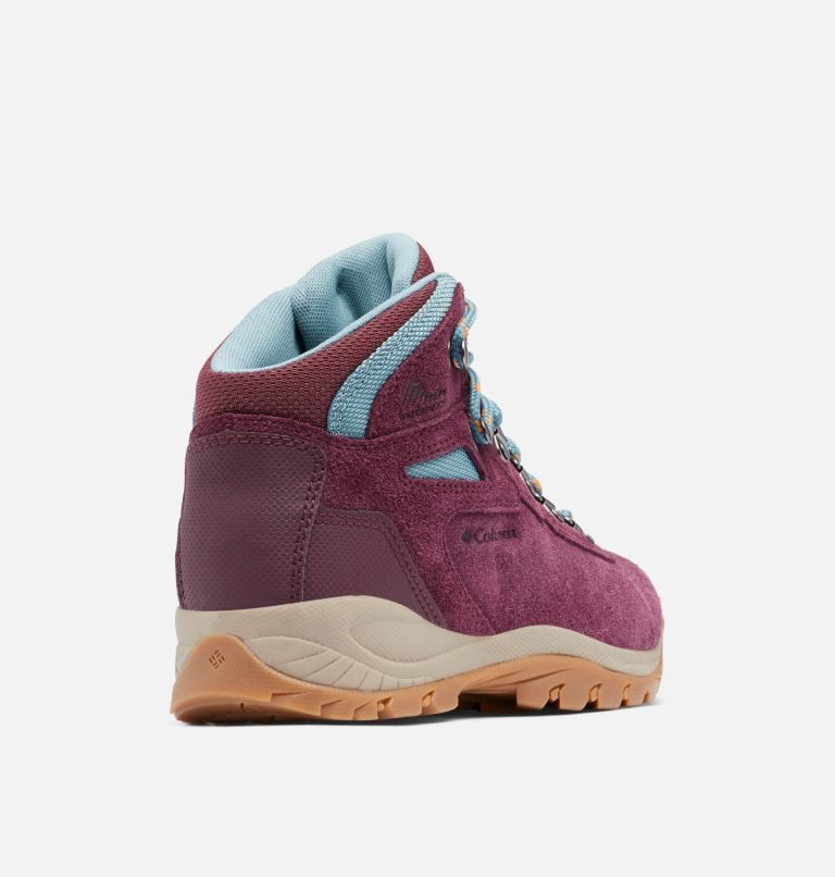 Women's Columbia Newton Ridge Plus Waterproof Amped Hiking Boots Fuchsia | CA-M8063