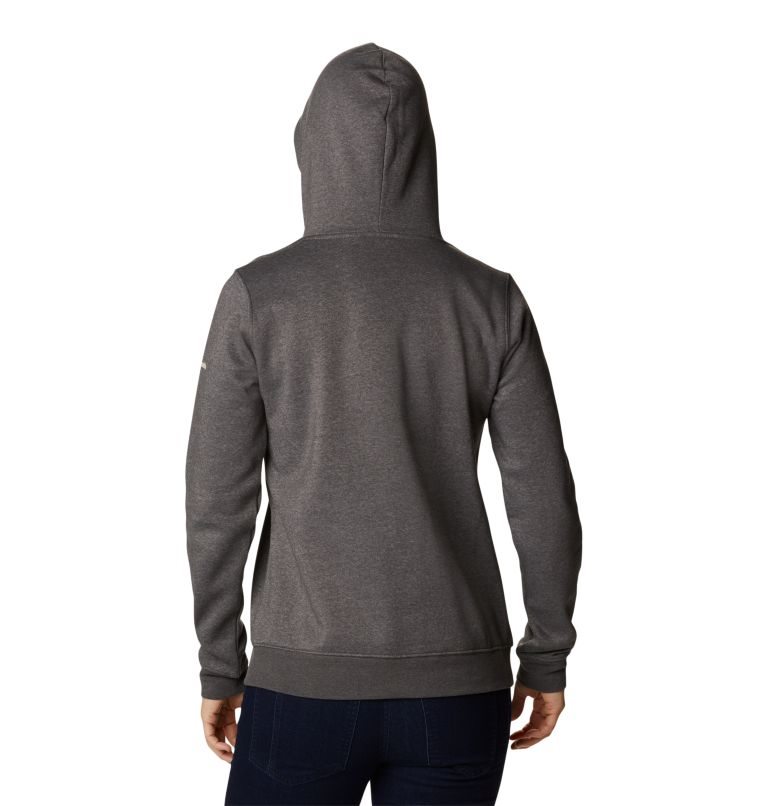 Women's Columbia Trek Graphic Hoodie Dark Grey | CA-G61C0